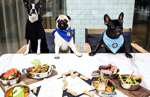 Dogs waiting to eat, The Wilson Dog menu