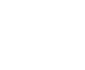 Woodpecker by David Burke logo