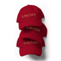classic dad hat cranberry front db jpg