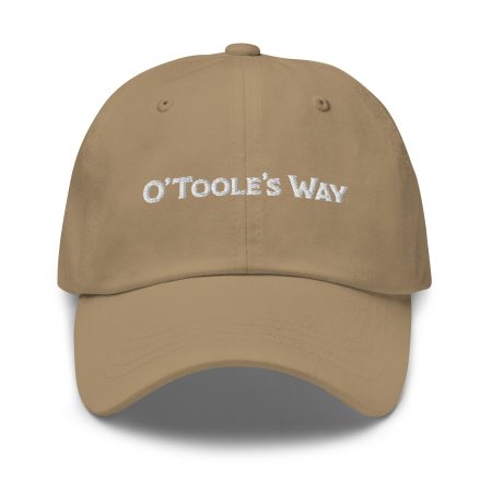 classic dad hat khaki front dfcca jpg